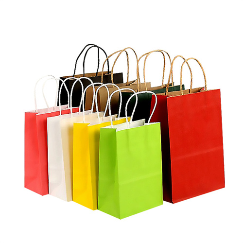 Custom Made Luxury Shopping Packaging Bag